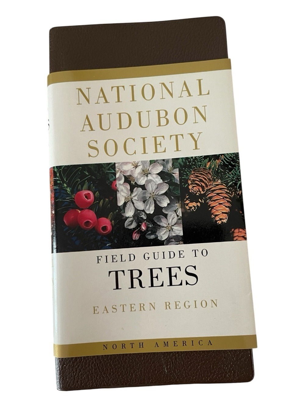 National Audubon Society Field Guide Trees Eastern Region Knoph 2008